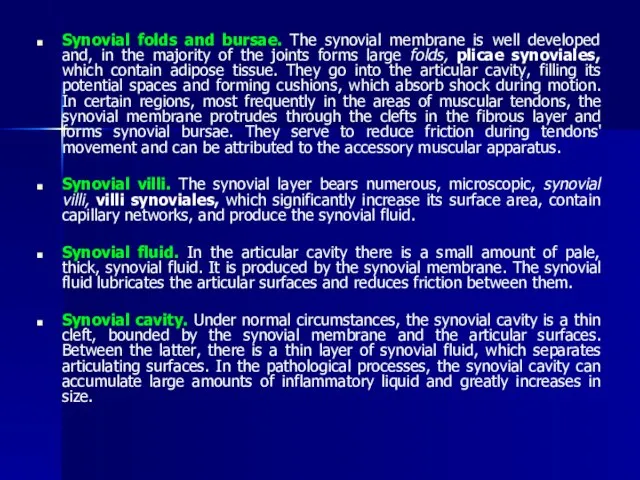 Synovial folds and bursae. The synovial membrane is well developed and,