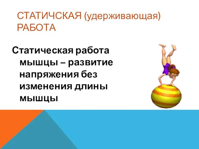 СТАТИЧСКАЯ (удерживающая) РАБОТА Статическая работа мышцы – развитие напряжения без изменения длины мышцы