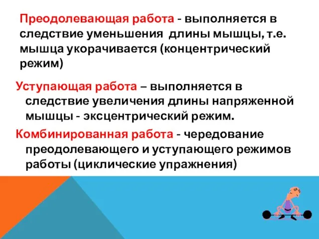 Преодолевающая работа - выполняется в следствие уменьшения длины мышцы, т.е. мышца