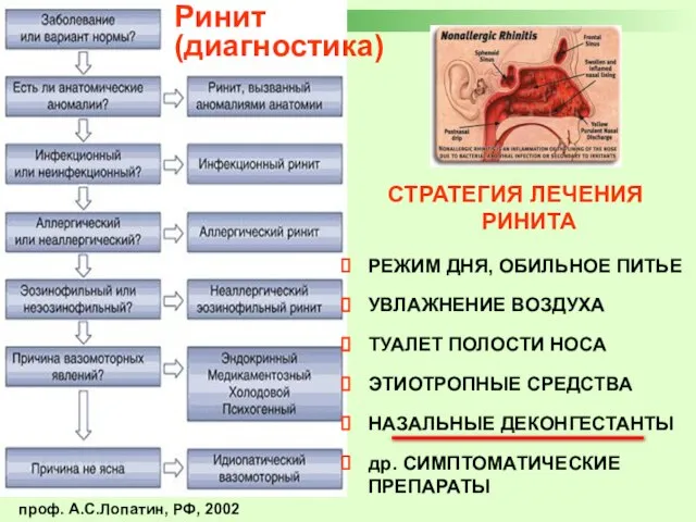 СТРАТЕГИЯ ЛЕЧЕНИЯ РИНИТА РЕЖИМ ДНЯ, ОБИЛЬНОЕ ПИТЬЕ УВЛАЖНЕНИЕ ВОЗДУХА ТУАЛЕТ ПОЛОСТИ