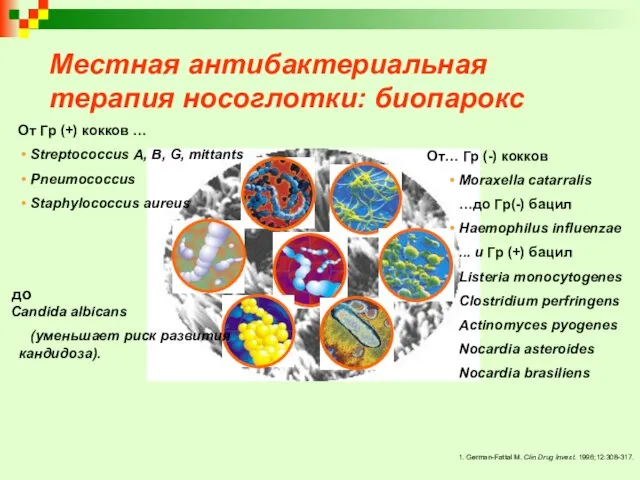 Местная антибактериальная терапия носоглотки: биопарокс От Гр (+) кокков … Streptococcus