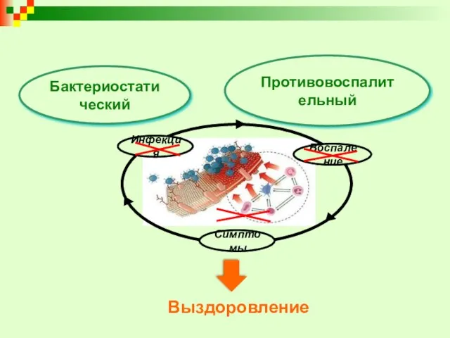 Выздоровление Бактериостатический Противовоспалительный