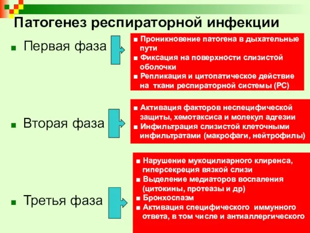 Патогенез респираторной инфекции Первая фаза Вторая фаза Третья фаза ■ Активация