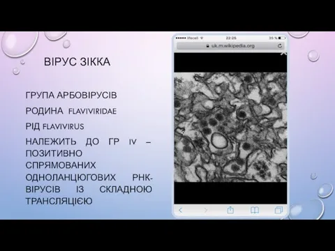 ВІРУС ЗІККА ГРУПА АРБОВІРУСІВ РОДИНА FLAVIVIRIDAE РІД FLAVIVIRUS НАЛЕЖИТЬ ДО ГР