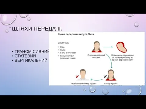 ШЛЯХИ ПЕРЕДАЧІ: • ТРАНСМІСИВНИЙ • СТАТЕВИЙ • ВЕРТИКАЛЬНИЙ