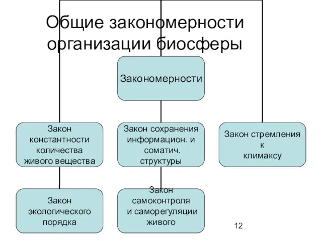 Общие закономерности организации биосферы