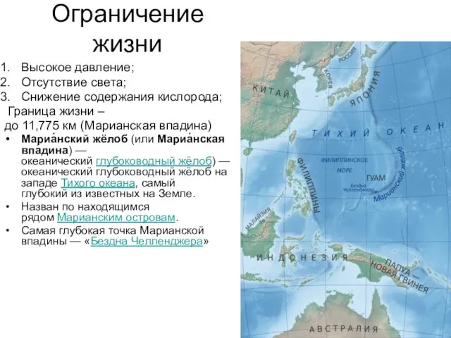 Ограничение жизни Высокое давление; Отсутствие света; Снижение содержания кислорода; Граница жизни