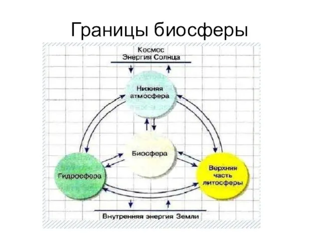 Границы биосферы