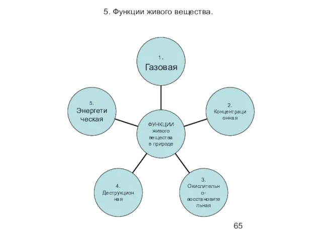 5. Функции живого вещества.