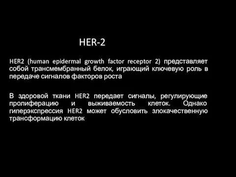 HER-2 HER2 (human epidermal growth factor receptor 2) представляет собой трансмембранный