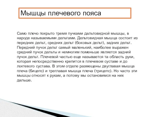 Мышцы плечевого пояса Само плечо покрыто тремя пучками дальтовидной мышцы, в