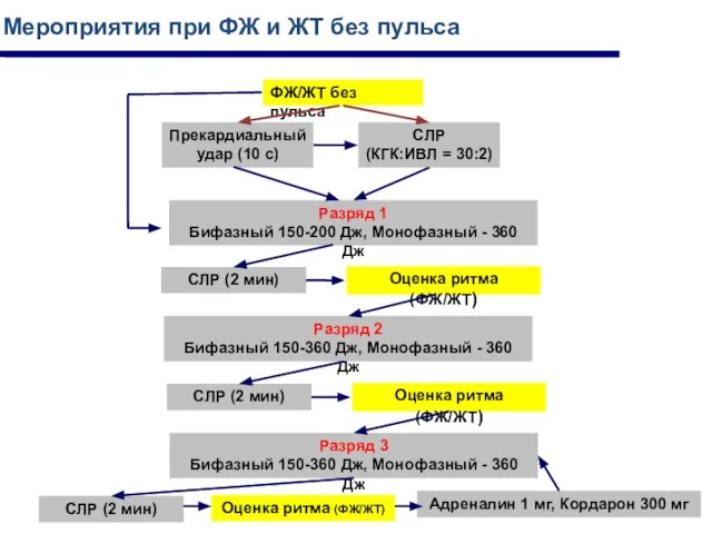 ФЖ/ЖТ без пульса Мероприятия при ФЖ и ЖТ без пульса Разряд