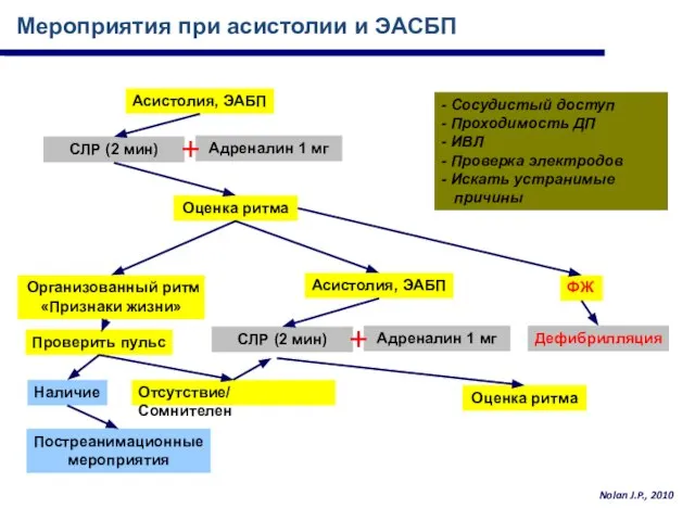 Мероприятия при асистолии и ЭАСБП Асистолия, ЭАБП СЛР (2 мин) Адреналин