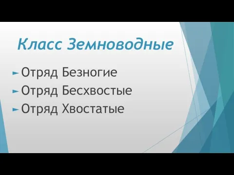 Класс Земноводные Отряд Безногие Отряд Бесхвостые Отряд Хвостатые