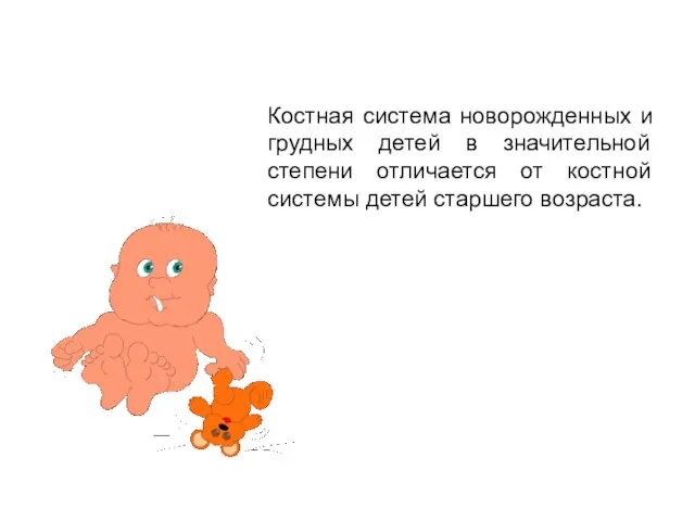 Костная система новорожденных и грудных детей в значительной степени отличается от костной системы детей старшего возраста.