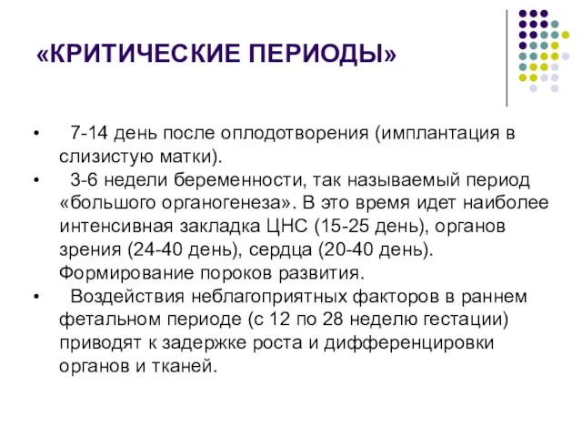 «КРИТИЧЕСКИЕ ПЕРИОДЫ» 7-14 день после оплодотворения (имплантация в слизистую матки). 3-6