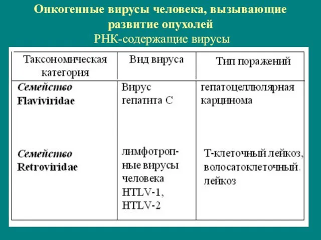 Онкогенные вирусы человека, вызывающие развитие опухолей РНК-содержащие вирусы