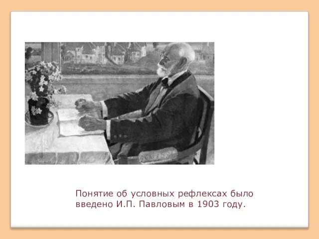 Понятие об условных рефлексах было введено И.П. Павловым в 1903 году.