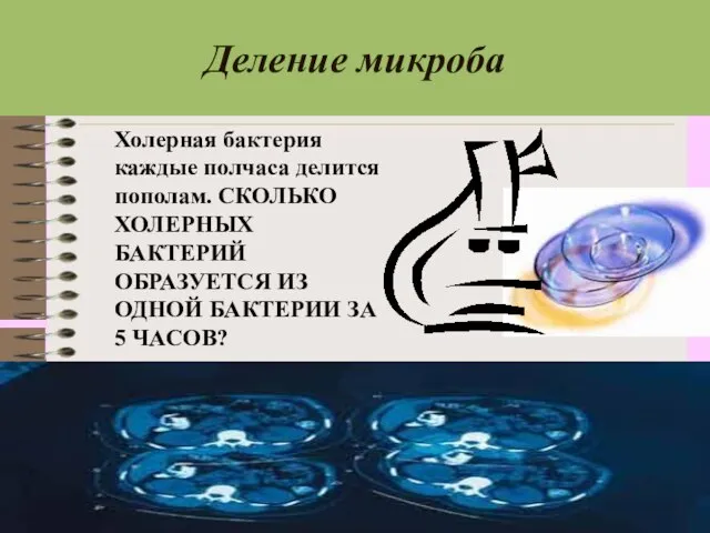 Деление микроба Холерная бактерия каждые полчаса делится пополам. СКОЛЬКО ХОЛЕРНЫХ БАКТЕРИЙ