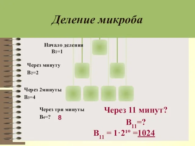 Через 2минуты В3=4 Через минуту В2=2 Начало деления B1=1 Деление микроба