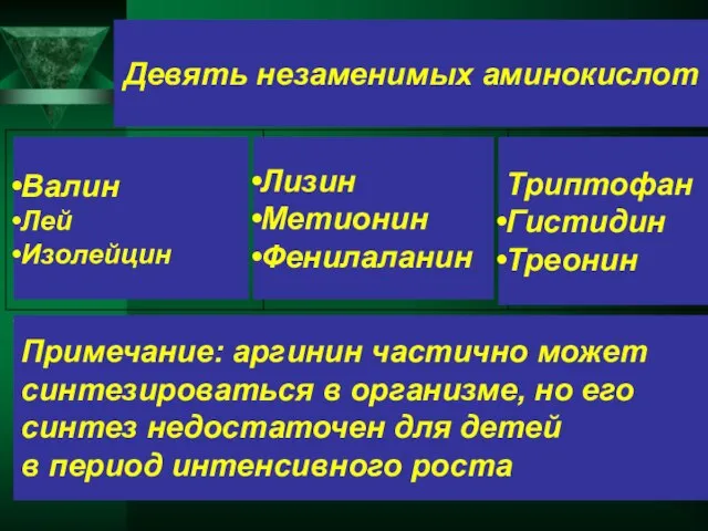 Девять незаменимых аминокислот Валин Лей Изолейцин Лизин Метионин Фенилаланин Триптофан Гистидин