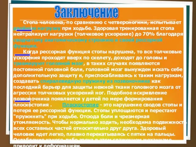 Заключение Стопа человека, по сравнению с четвероногими, испытывает двойную нагрузку при