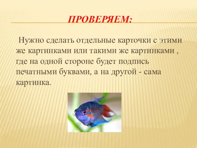 ПРОВЕРЯЕМ: Нужно сделать отдельные карточки с этими же картинками или такими