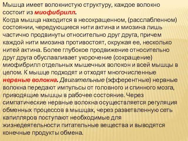 Мышца имеет волокнистую структуру, каждое волокно состоит из миофибрилл. Когда мышца