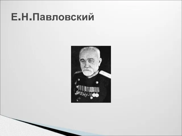 Е.Н.Павловский