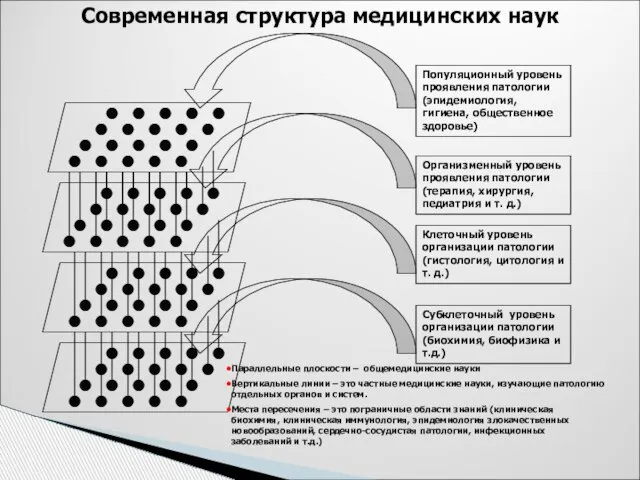 Популяционный уровень проявления патологии (эпидемиология, гигиена, общественное здоровье) Организменный уровень проявления