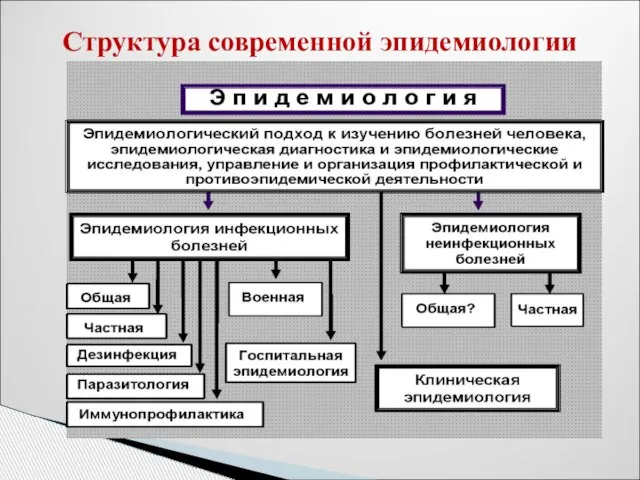 Структура современной эпидемиологии