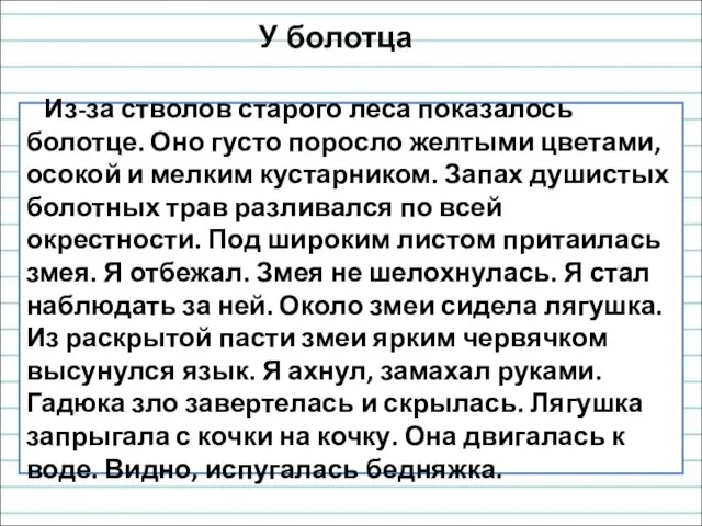 Из-за стволов старого леса показалось болотце. Оно густо поросло желтыми цветами,