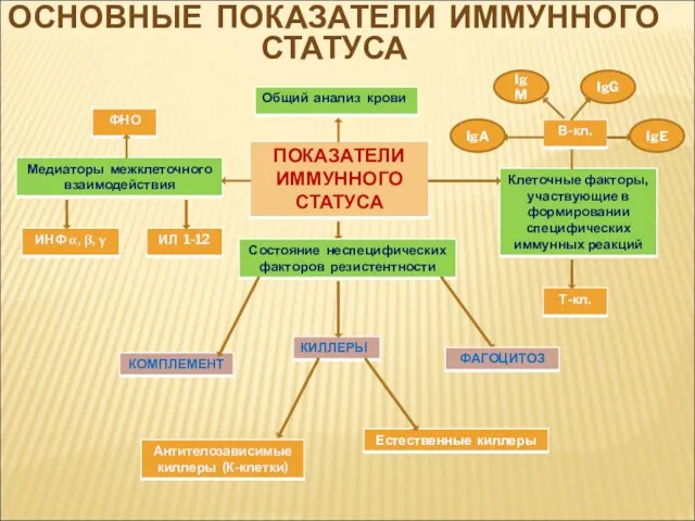 ОСНОВНЫЕ ПОКАЗАТЕЛИ ИММУННОГО СТАТУСА IgA IgE IgG IgM