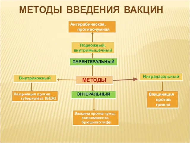 МЕТОДЫ ВВЕДЕНИЯ ВАКЦИН