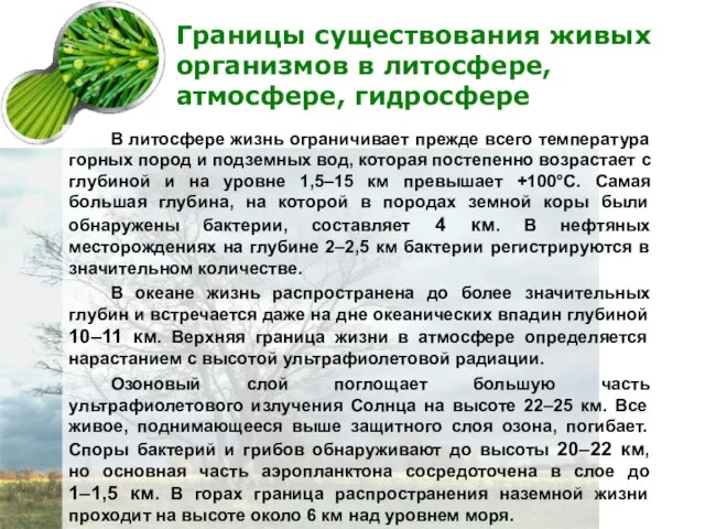 Границы существования живых организмов в литосфере, атмосфере, гидросфере В литосфере жизнь