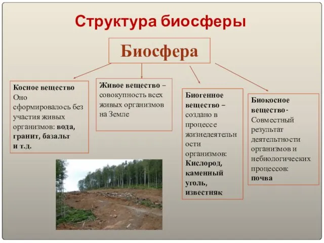 Структура биосферы Биосфера Косное вещество Оно сформировалось без участия живых организмов: