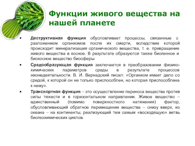 Функции живого вещества на нашей планете Деструктивная функция обусловливает процессы, связанные