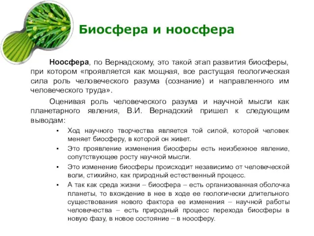 Биосфера и ноосфера Ноосфера, по Вернадскому, это такой этап развития биосферы,