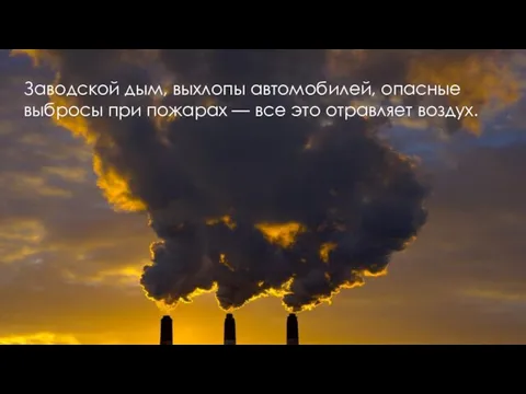 Заводской дым, выхлопы автомобилей, опасные выбросы при пожарах — все это отравляет воздух.