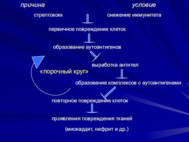 причина условие стрептококк снижение иммунитета первичное повреждение клеток образование аутоантигенов выработка