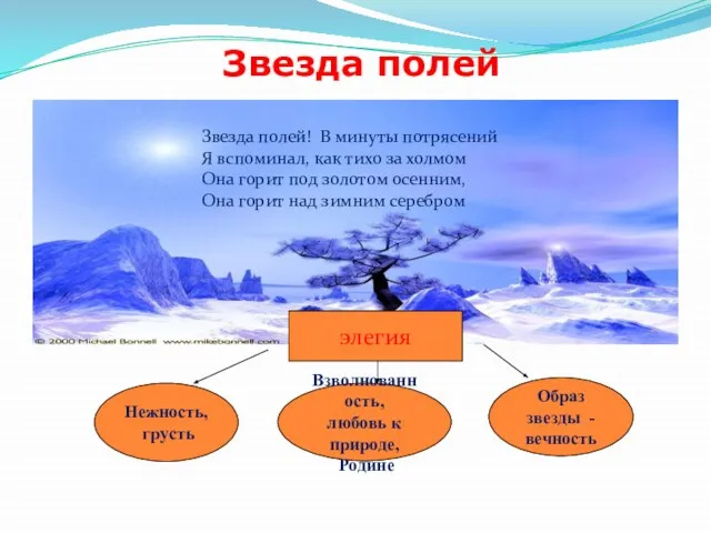 Звезда полей Взволнованность, любовь к природе, Родине Образ звезды - вечность