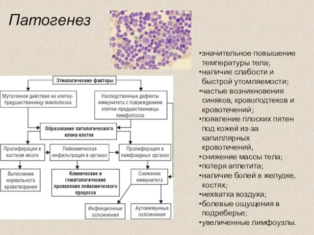 Патогенез значительное повышение температуры тела; наличие слабости и быстрой утомляемости; частые