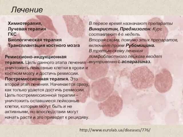 Лечение В первое время назначают препараты Винкристин, Преднизолон. Курс составляют 4-6