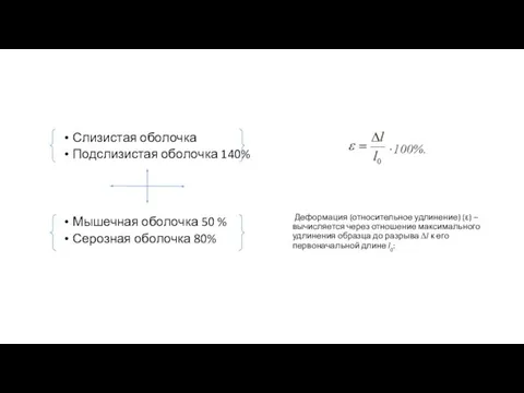 Слизистая оболочка Подслизистая оболочка 140% Мышечная оболочка 50 % Серозная оболочка