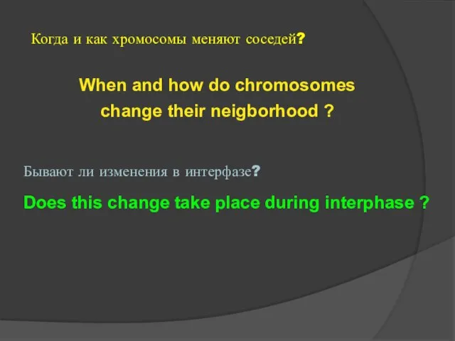 When and how do chromosomes change their neigborhood ? Does this