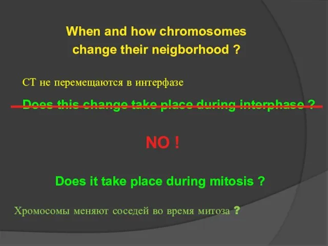 When and how chromosomes change their neigborhood ? Does this change