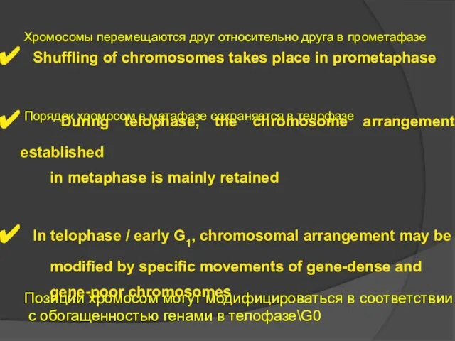 Shuffling of chromosomes takes place in prometaphase During telophase, the chromosome