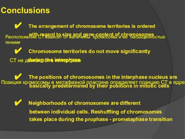 Conclusions The arrangement of chromosome territories is ordered with regard to