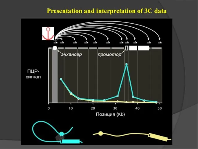 Presentation and interpretation of 3C data