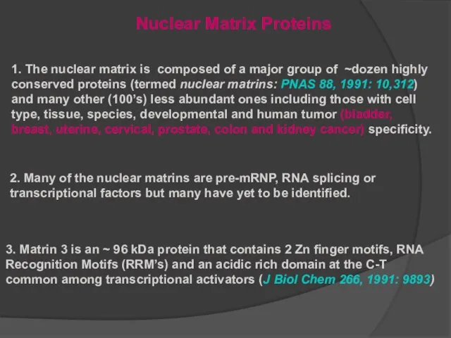 1. The nuclear matrix is composed of a major group of